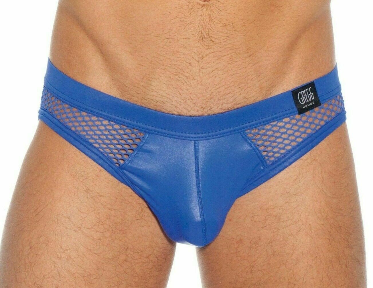 Large Gregg Homme Brief Beyond Doubt Mesh Sexy Slip Royal Large Underwear