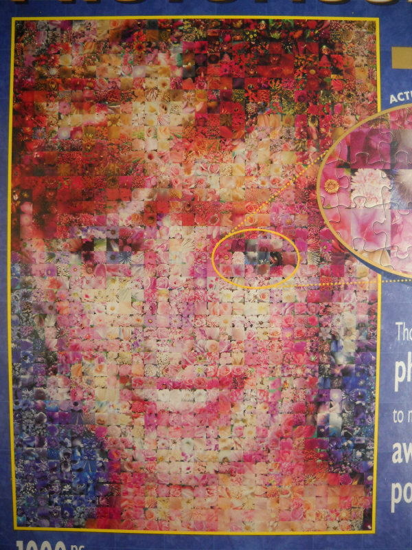 Buffalo Games Jigsaw Puzzle Diana Princess Of Wales Photomosaics Sealed