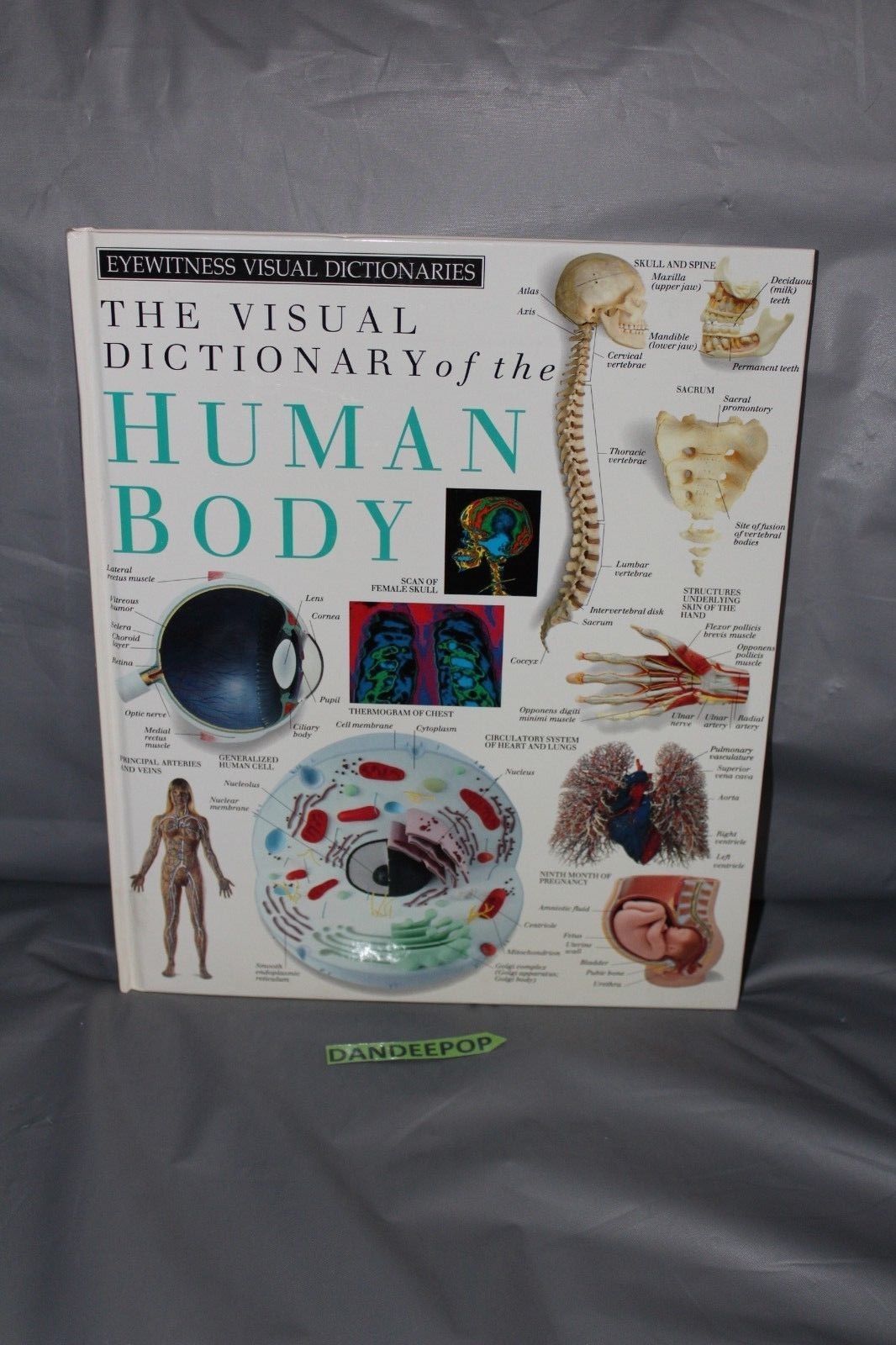 Dk Visual Dictionaries The Visual Dictionary Of The Human Body By Dorling Kinde Textbooks