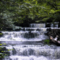jeff_a_cap_63_in_tn.'s profile picture