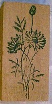 Daisy Flowers open and budding  Rubber Stamp wildflowers tall - $10.00