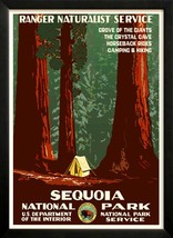 Sequoia National Park Retro poster 1930s WPA Custom Framed A+ Quality - $46.92