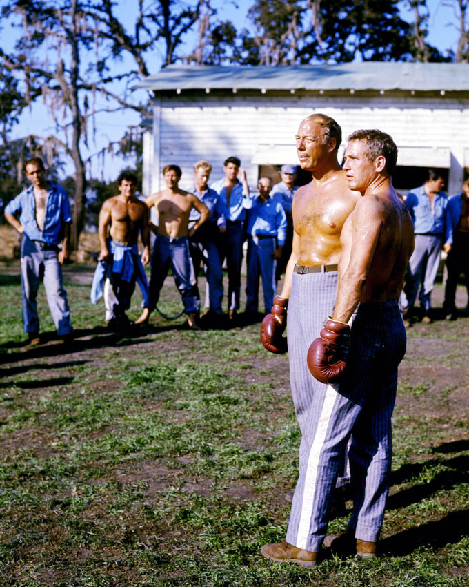 Cool Hand Luke 8x10 Photo Barechested Paul Newman Kennedy boxing