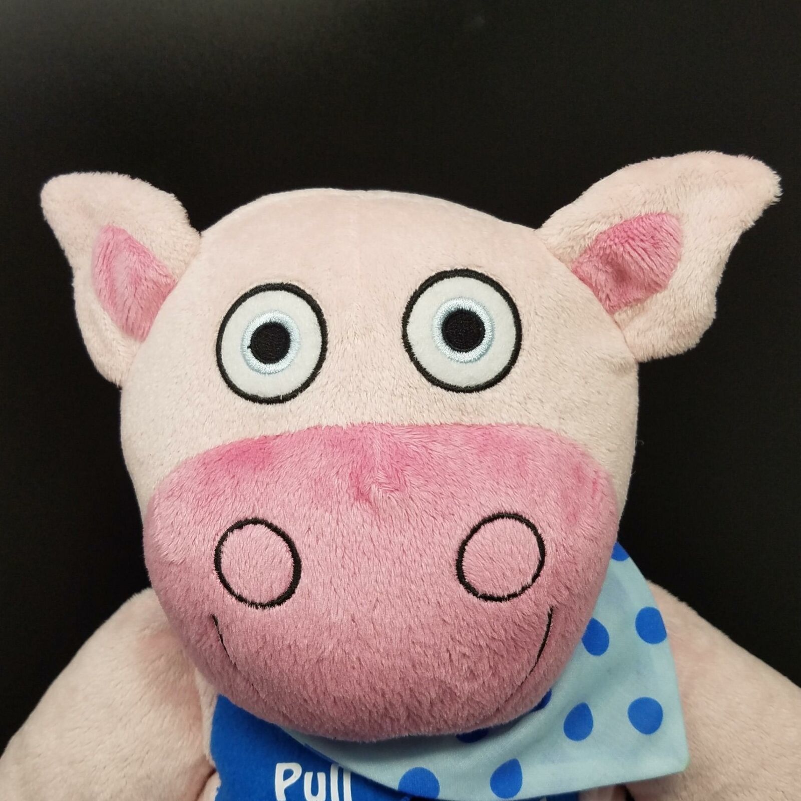 soft pig toy