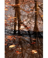 Homage To MC Escher,, Mont Royal, Canada, 12x18 Photograph - $199.00