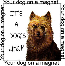 Dog magnet - quote, custom photo, your dog, personalized - $3.95