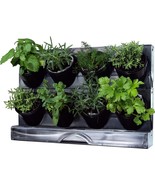 Watex Countertop Garden Kit, Black, Indoor Garden - $50.99