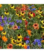 WILDFLOWER SEED MIX , ASSORMENT OF PERENNIAL &amp; ANNUAL , 1 POUND PACKAGE - $19.99