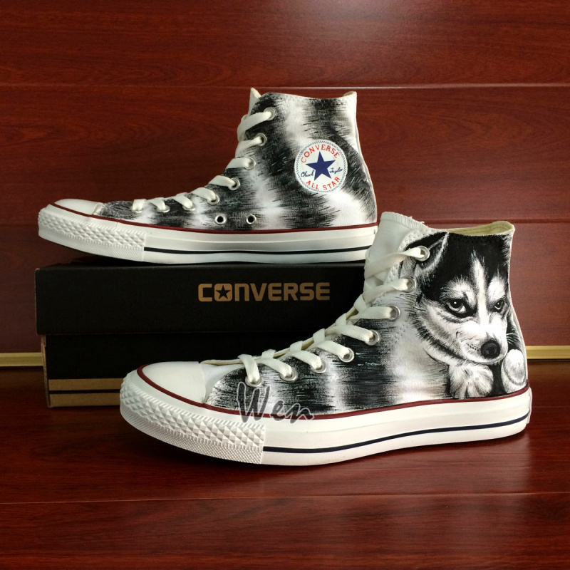 dog converse sneakers