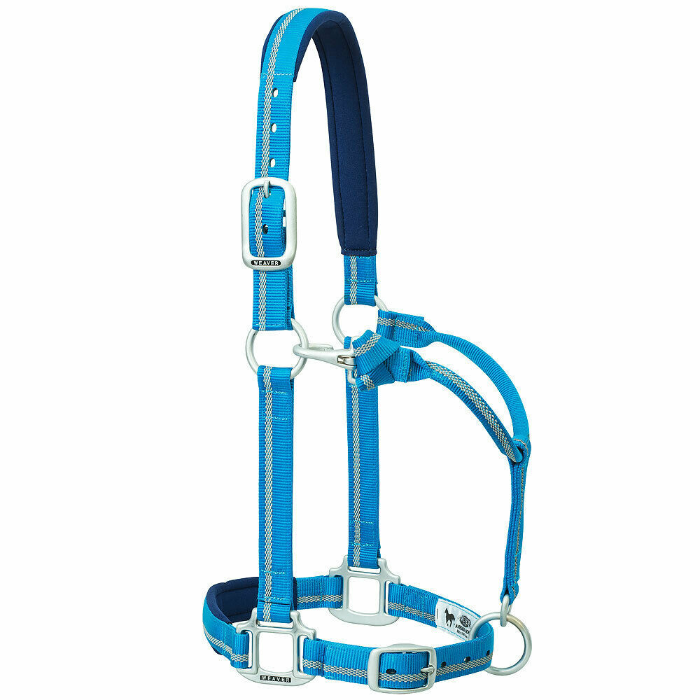 average-weaver-nylon-padded-reflective-stripe-adjustable-horse-halter-blue-u-5-r-halters