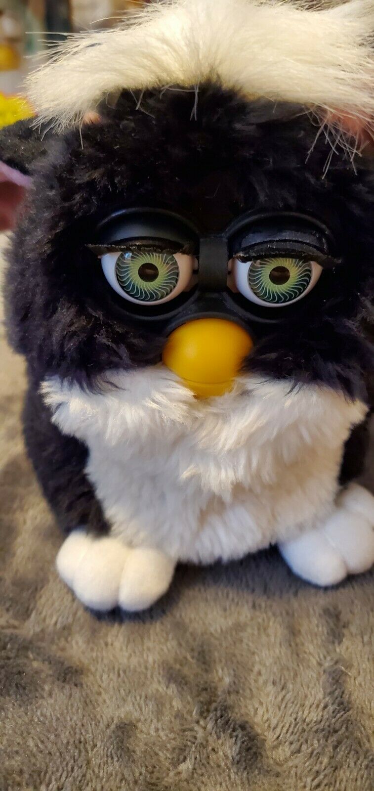 primary furby