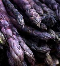 Purple Passion Asparagus Plants Crowns Roots Bare Root 50 Ea - $74.95