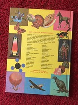 Vintage Childrens book: 1962 How and Why Wonder Book of Science Experiments image 5