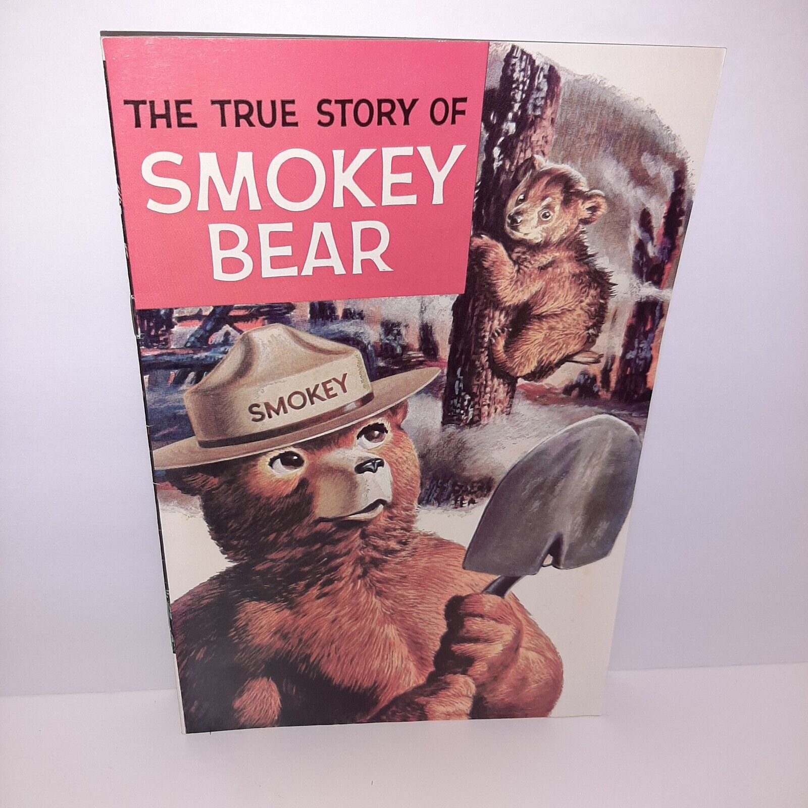 The True Story of Smokey the Bear 1969 Comic Book Smokey The Bear