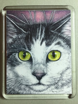 Cat Art Acrylic Large Magnet - Nemo - $7.00