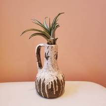 Airplant Vase, Ceramic Vase with Live Air Plant, Tillandsia Decor Gift image 7