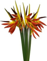 Corkwaw 8 Pack 21-1/2 Inch Artificial Flowers Bird Of Paradise,Green, Orange - $31.99