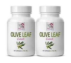 Support Organs of The Digestive System - Olive Leaf Extract 750mg - anti... - $28.37