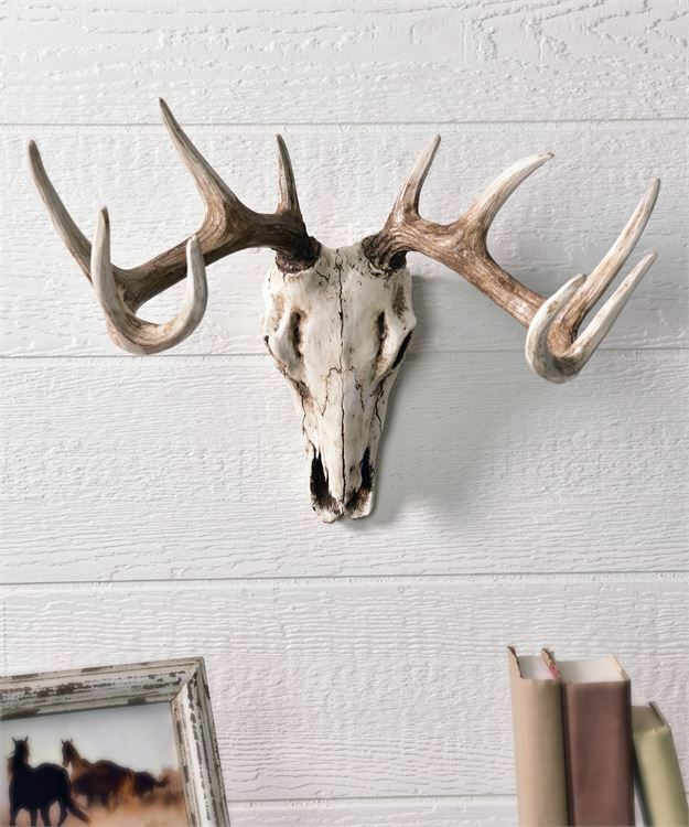 20" Deer Skull Design Wall Decor Weathered White Polystone Wall Decor