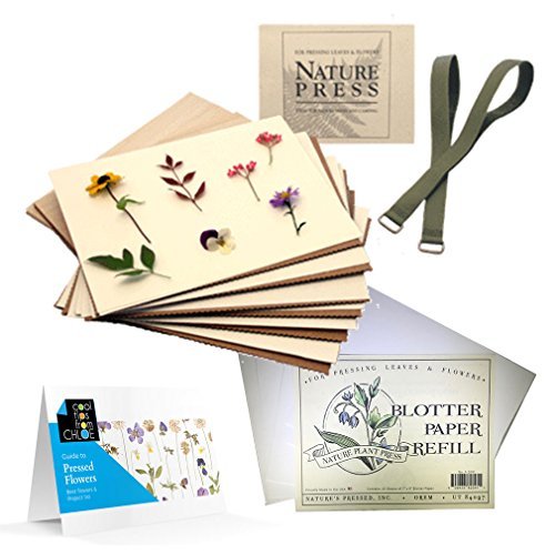 nature s pressed flower press for adults kids blotter flower press blotting paper