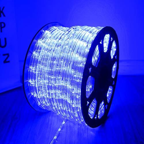 DINGFU Upgraded 100 Feet Led Rope Lights ,2Wire Low Voltage Waterproof