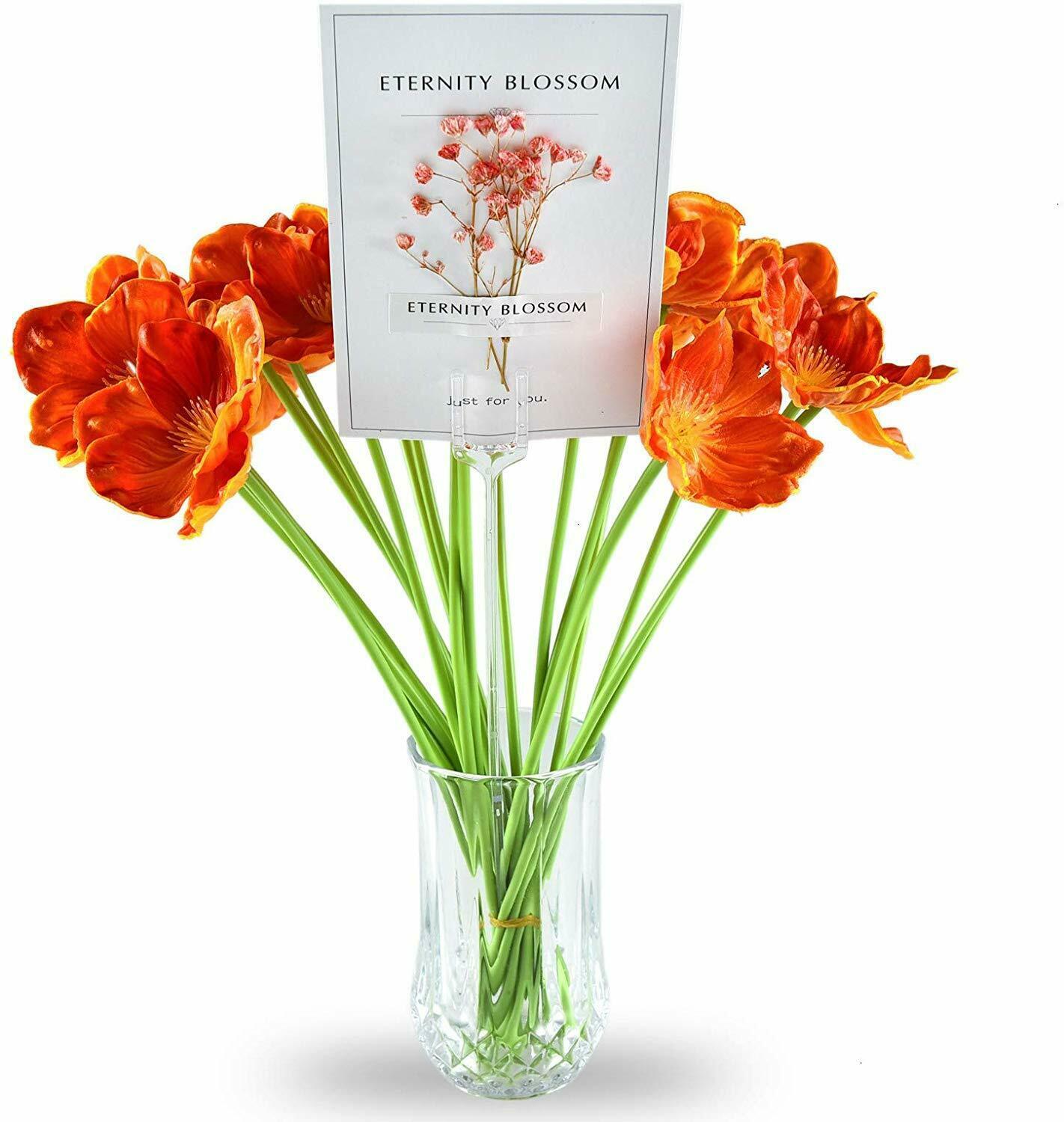 1000pcs Clear Plastic Floral Picks Card Holders Floral Arrangement