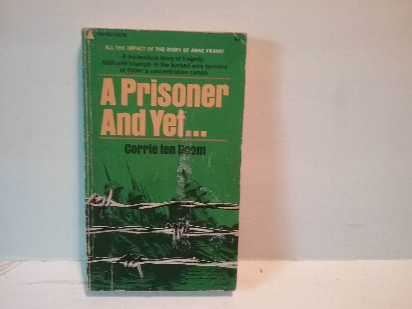 the plated prisoner book 4