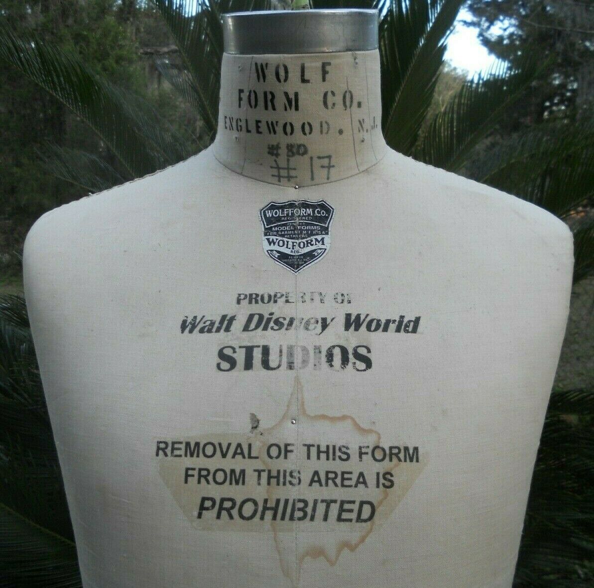 Wolf Model Form 1997 Size 12 Dress Form Mannequin / Walt Disney Studios