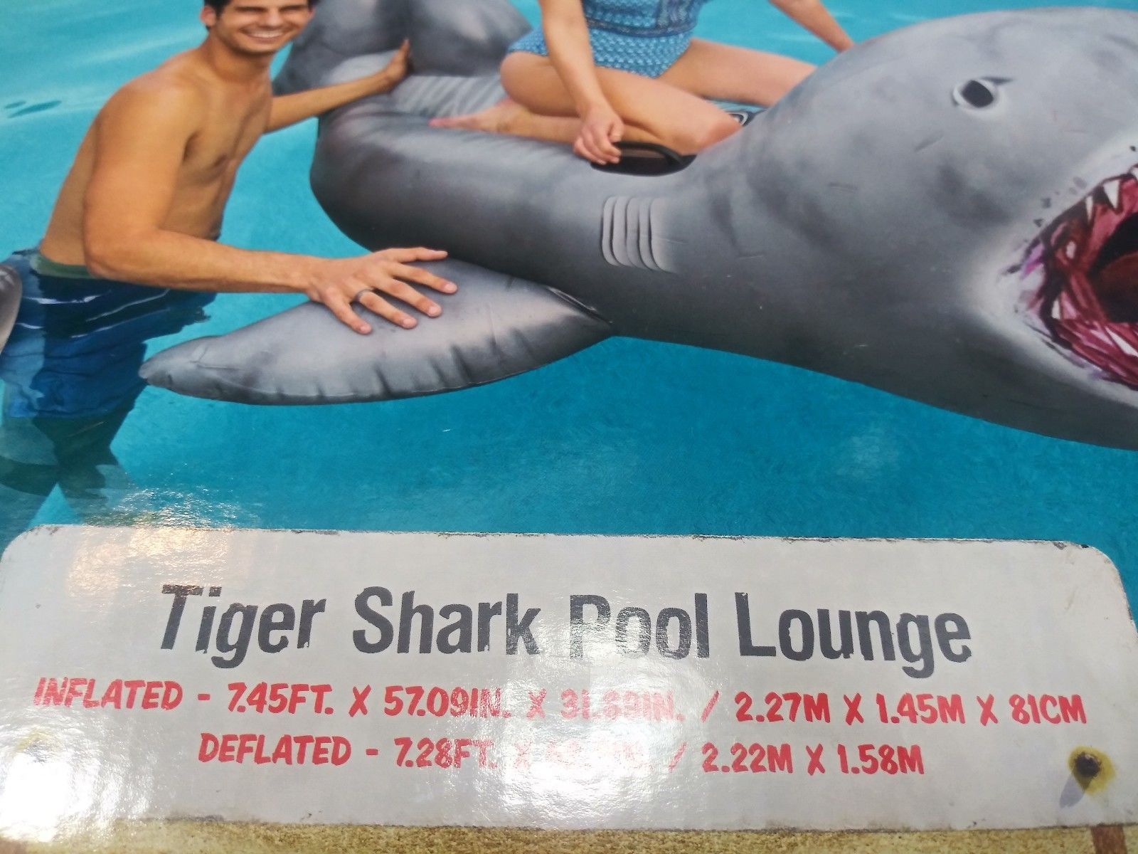 shark inflatable pool float