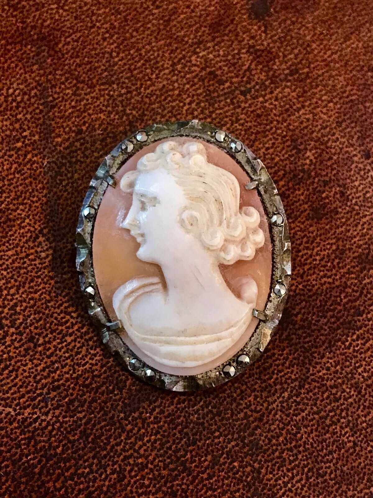 Vintage Cameo Set in .800 Silver Frame - Cameos