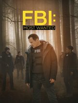FBI Most Wanted Poster Season 1-3 TV Series Art Print Size 24x36 27x40 32x48" #3 - $10.90+