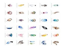 Colorful Feathers Postcards 30 pcs Ideal for Collectors, Postcrossing - $14.58