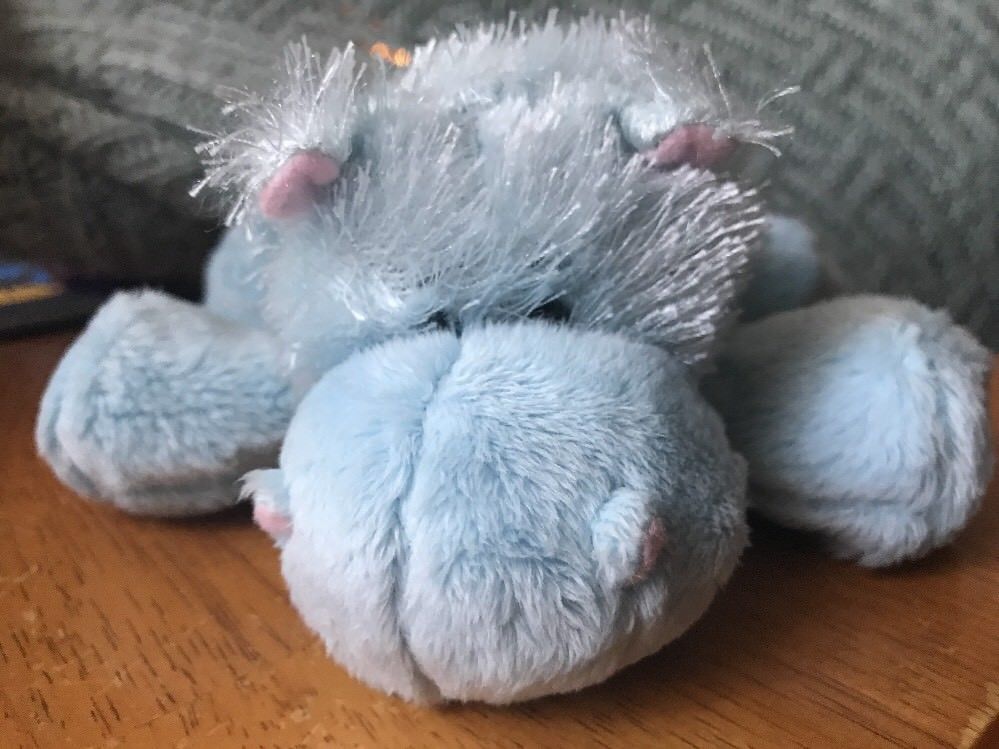 blue hippo webkinz