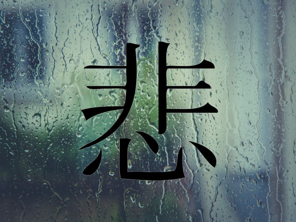 Sad Kanji Symbol Die Cut Vinyl Decal Sticker Decals, Stickers & Vinyl Art