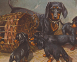 BARGAIN BIN Black &amp; Tan Dachshund and Her Puppies Antique Postcard -Trimmed - $4.50