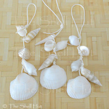 Seashell ornament 6 thumb200