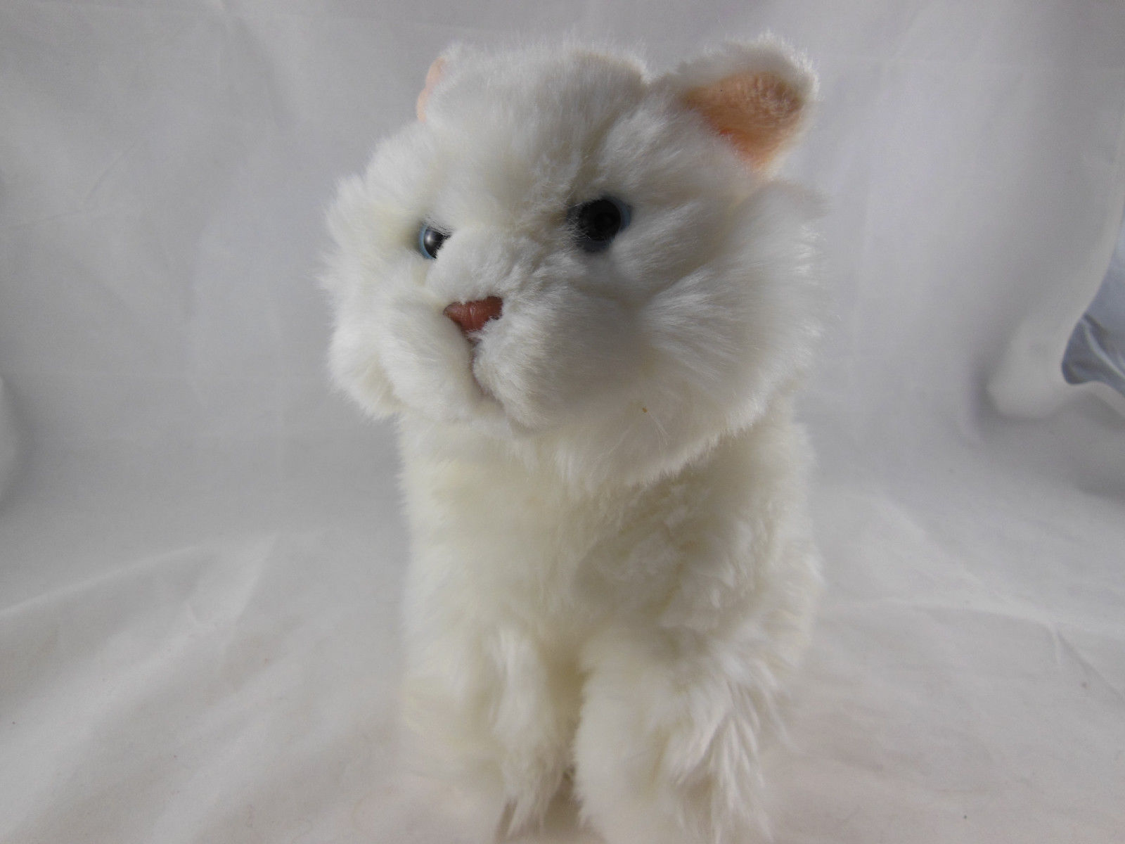 webkinz persian cat