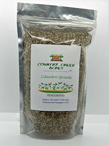 Cilantro Seed, Sprouting Seeds, Microgreen, Sprouting, 16 OZ, Organic Seed, Non
