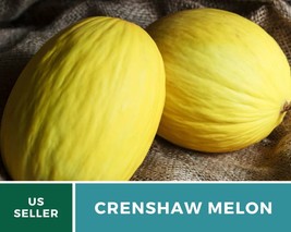 20 Pcs Crenshaw Melon Heirloom Seeds Open Pollinated GMO Free Cucumis melo Seed - $19.23
