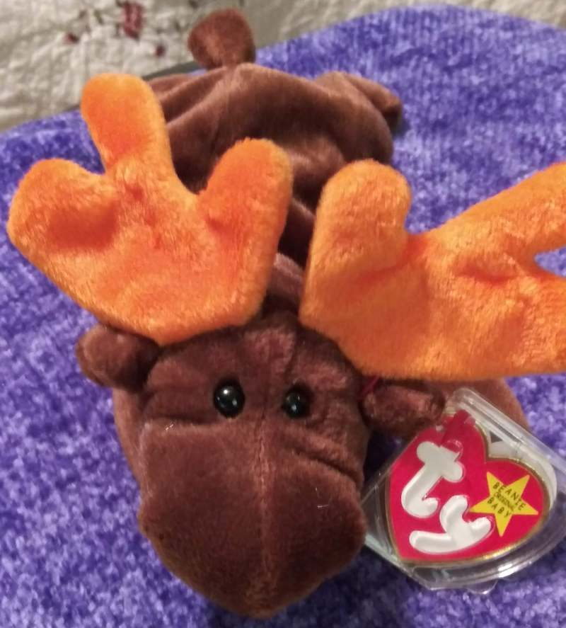 ty chocolate the moose