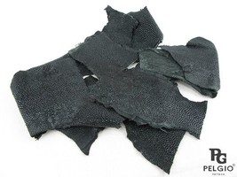 PELGIO Real Genuine Stingray Shagreen Skin Leather Hide Pelt Scraps 100 ... - $15.29