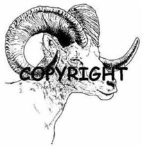Bighorn Sheep Sideview New Mounted Rubber Stamp - $9.00