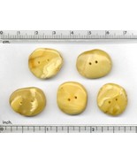 5 pcs Natural Baltic Milk and Honey Amber Buttons Shaped by Nature and Me. - $32.33
