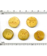 5 pcs Natural Baltic Milk and Honey Amber Buttons Shaped by Nature and Me. - $32.33