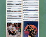 90udbruins thumb155 crop