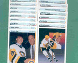 90udpenguins thumb155 crop