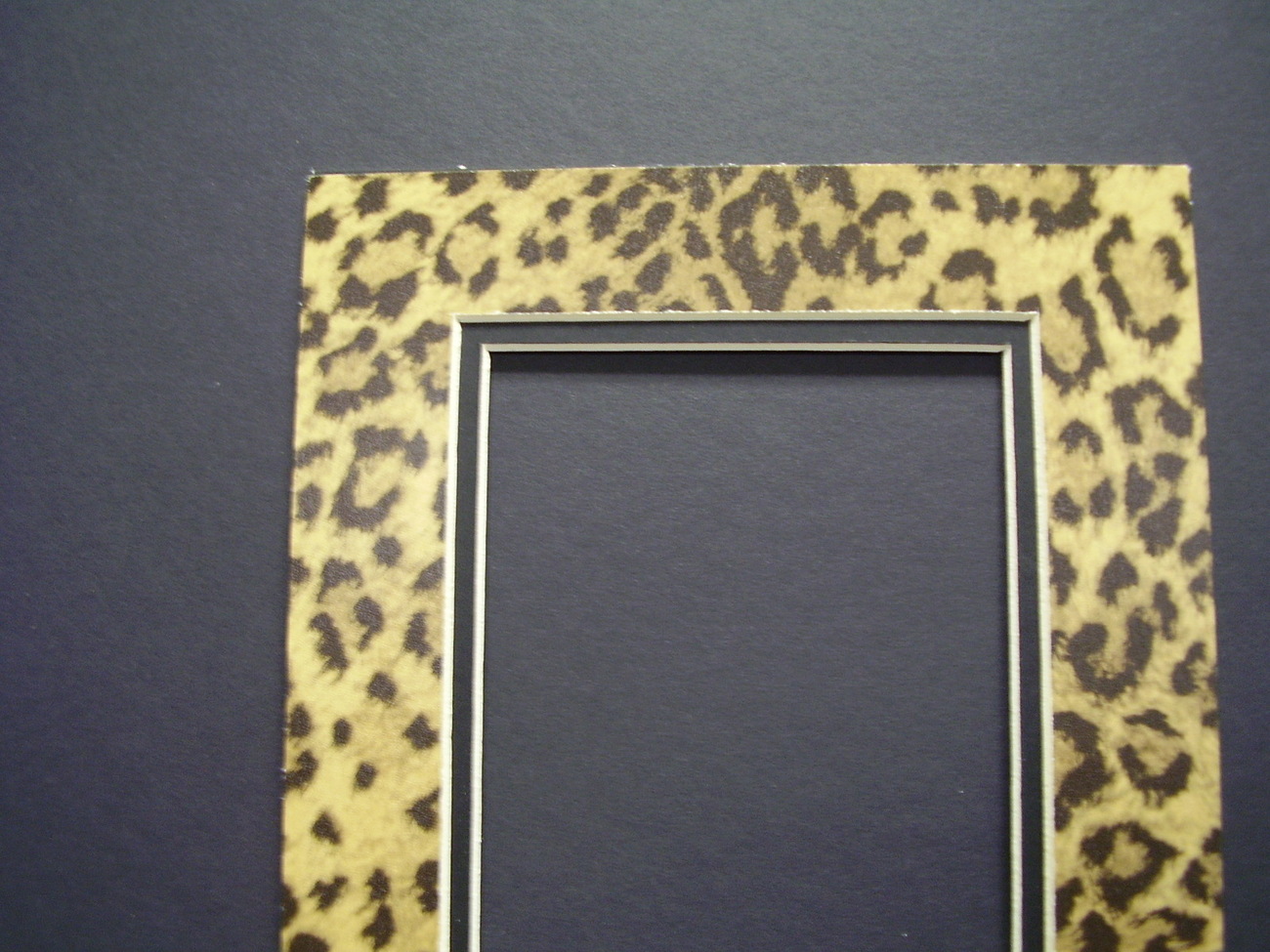 Picture Frame Double Mat 8x10 for 5x7 photo Leopard Cheetah Animal