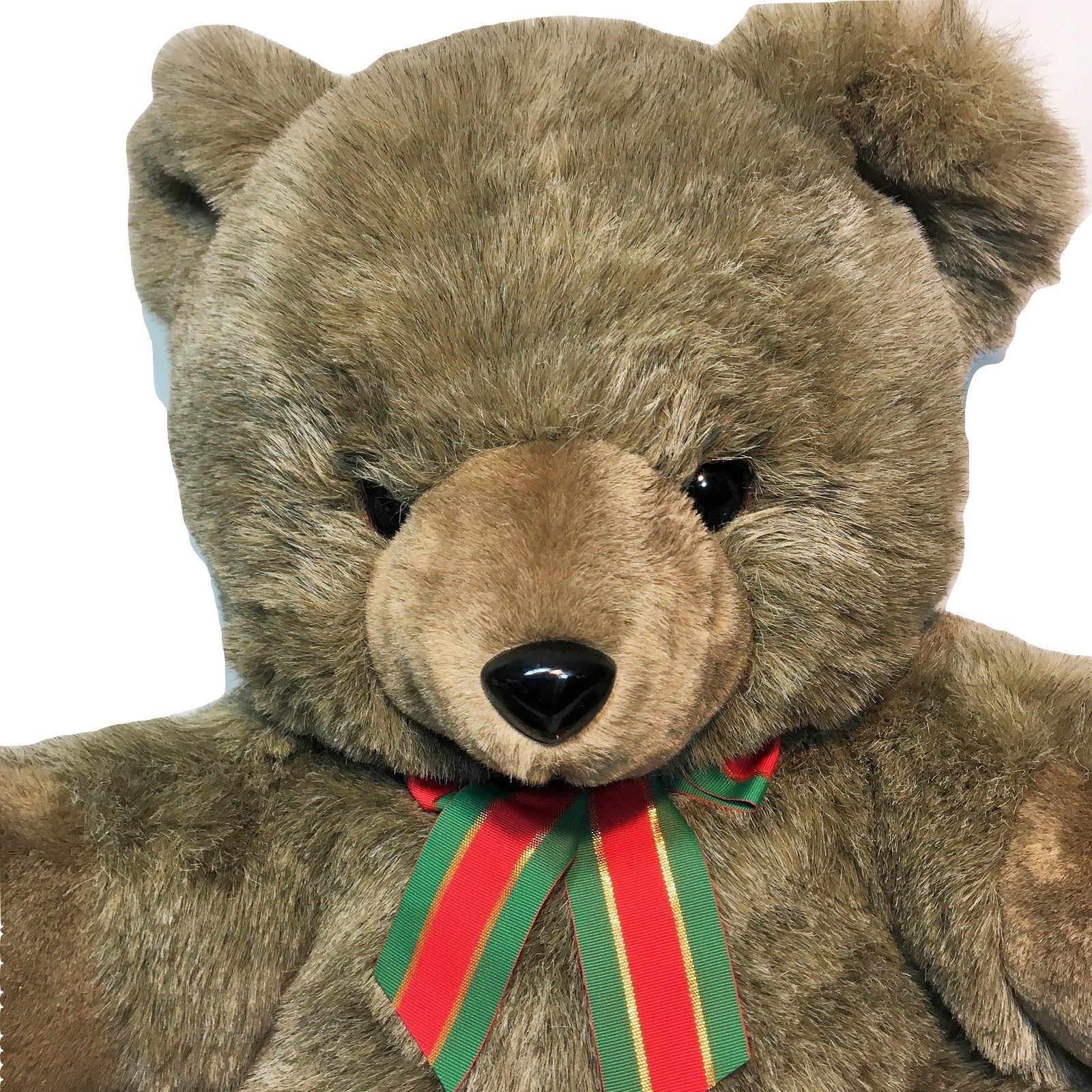 intelex beddy bear