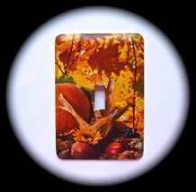 Scenic Fall Metal Light Switch Plate  - $9.50