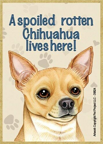 Chihuahua Smooth Coat Dog Fridge Magnet Gift in Black With Gift Bag 